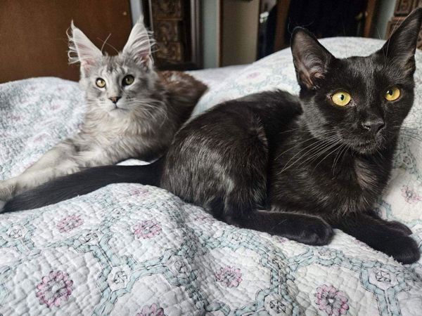 The Monster and Clyde, together at last