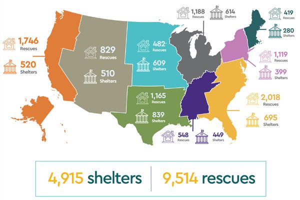 Map the United States showing shelter and rescue numbers